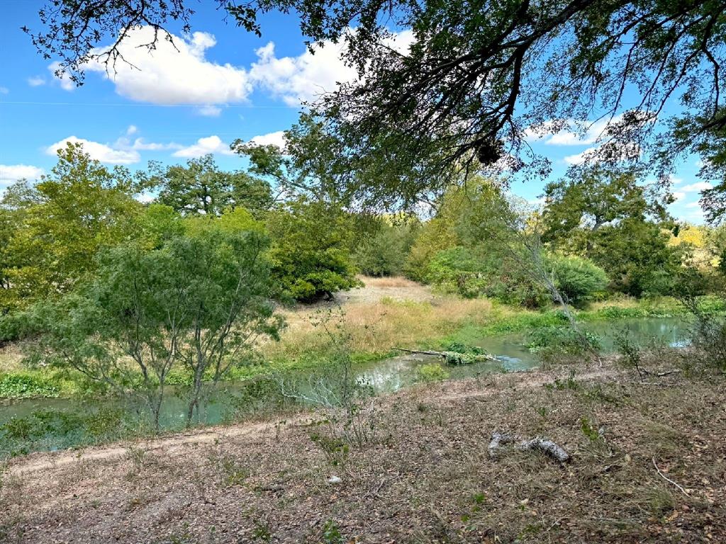 4194 Southeast River Road Martindale, TX 78655 - Photo 28 of 30 a view of a yard with large trees