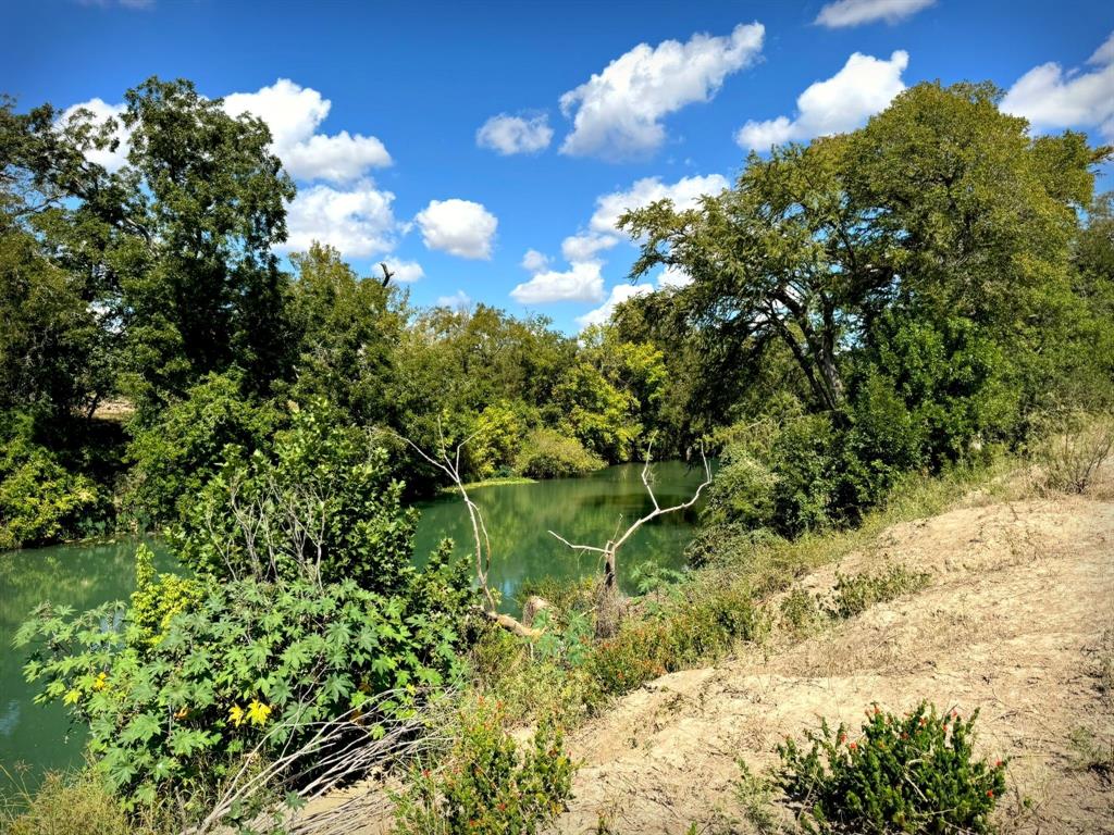 4194 Southeast River Road Martindale, TX 78655 - Photo 5 of 30 a backyard of a house with lots of green space and trees all around