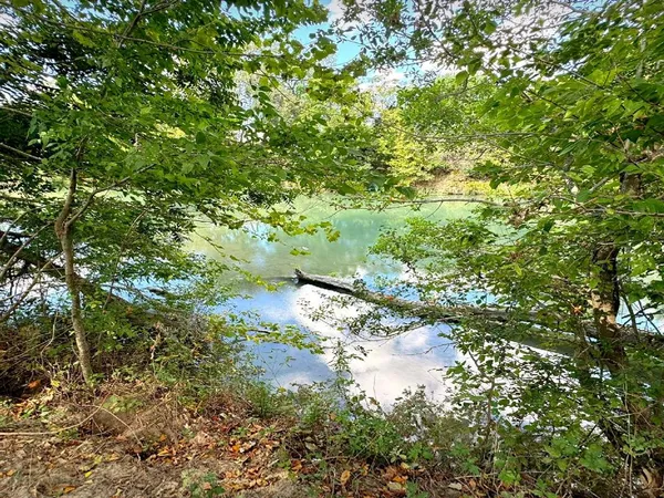 a view of a large yard with lots of green space