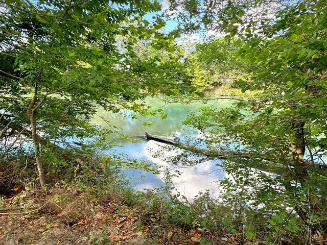a view of a large yard with lots of green space
