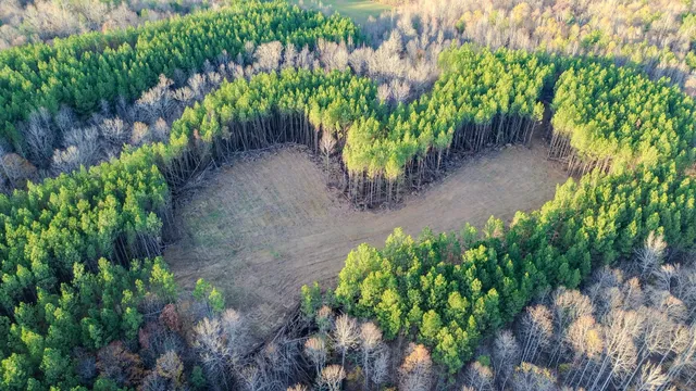 $130,500 | 0 Hurricane Creek Road, Linden, TN 37096