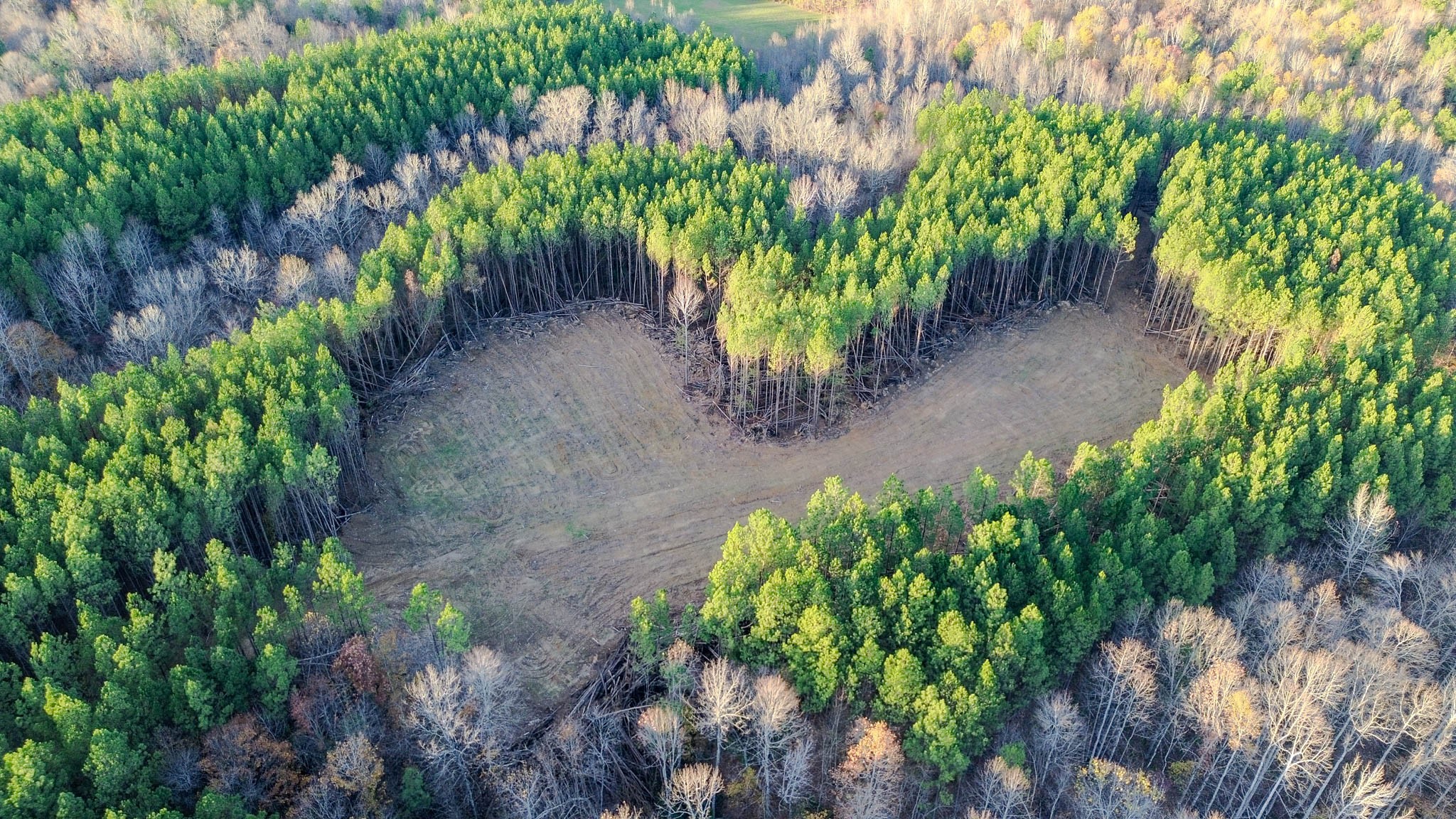 0 Hurricane Creek Road Linden, TN 37096 - Photo 1 of 30