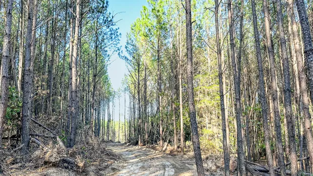 $130,500 | 0 Hurricane Creek Road, Linden, TN 37096