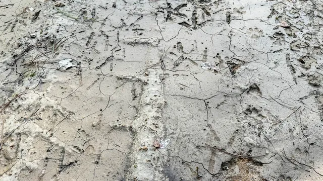 $130,500 | 0 Hurricane Creek Road, Linden, TN 37096