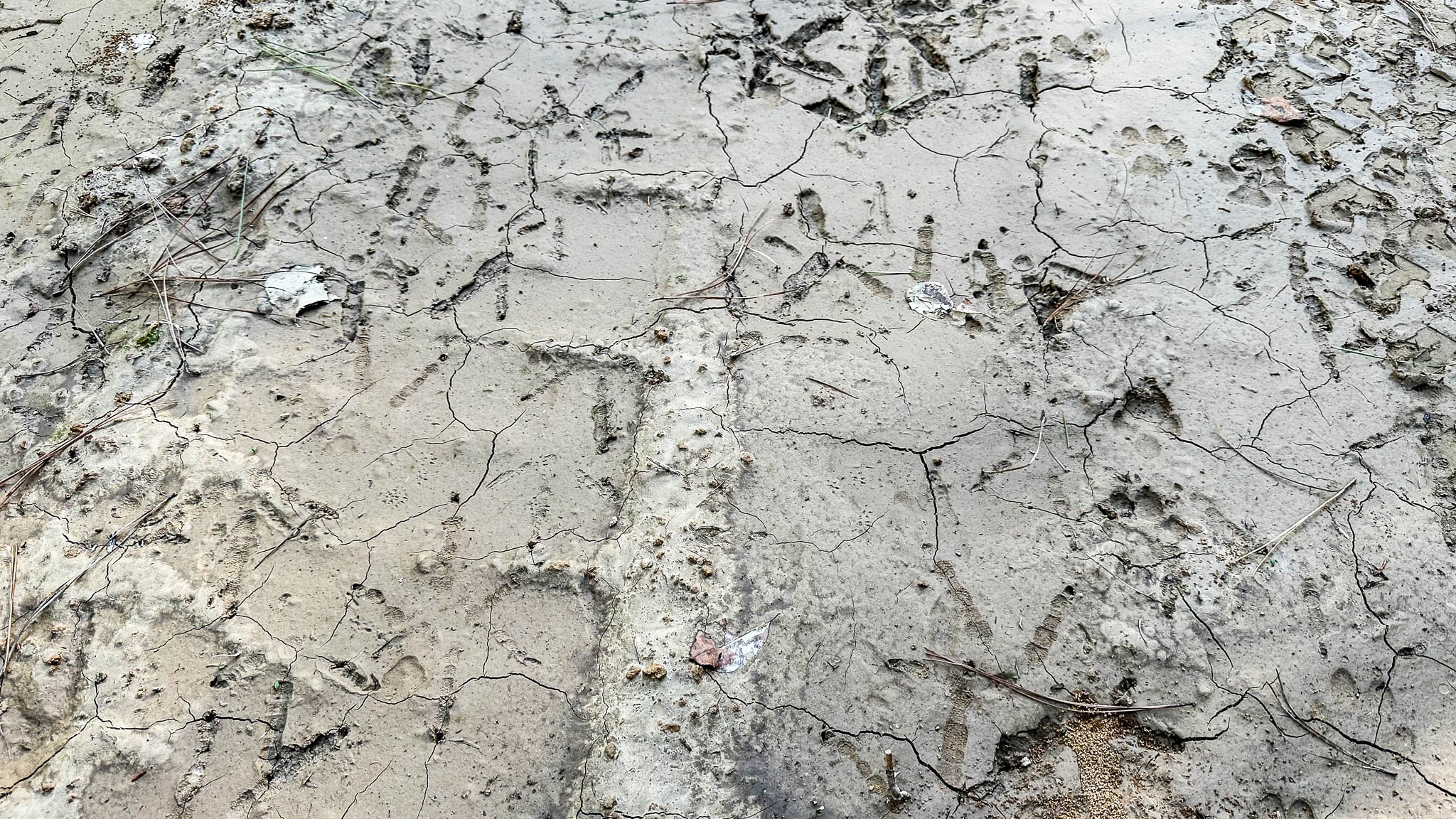 0 Hurricane Creek Road Linden, TN 37096 - Photo 12 of 30