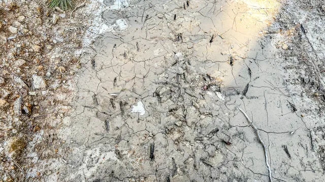 $130,500 | 0 Hurricane Creek Road, Linden, TN 37096