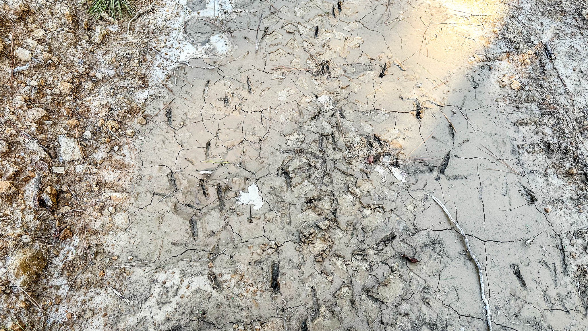 0 Hurricane Creek Road Linden, TN 37096 - Photo 13 of 30