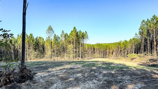 $130,500 | 0 Hurricane Creek Road, Linden, TN 37096