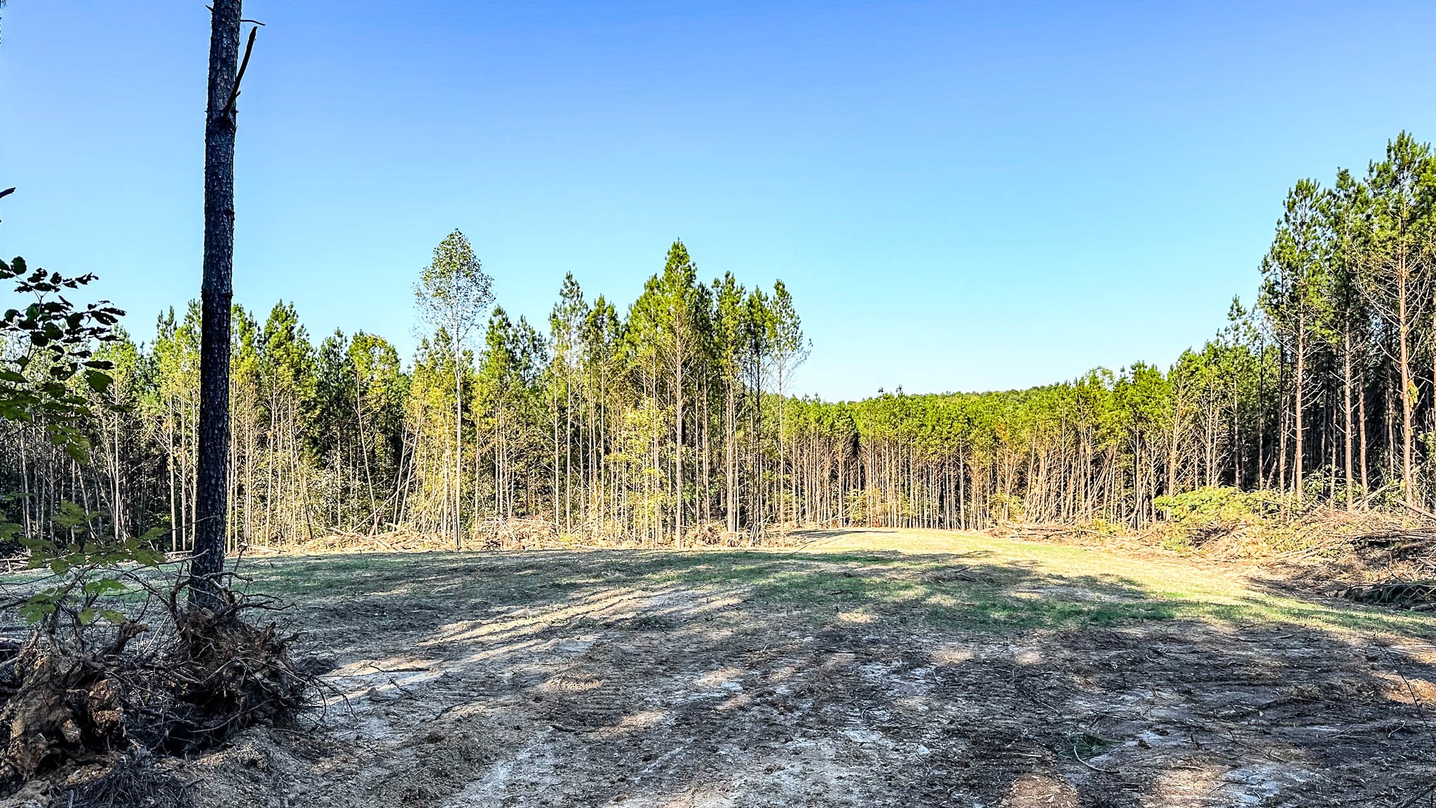 0 Hurricane Creek Road Linden, TN 37096 - Photo 14 of 30