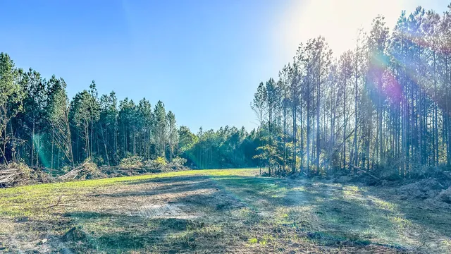 $130,500 | 0 Hurricane Creek Road, Linden, TN 37096