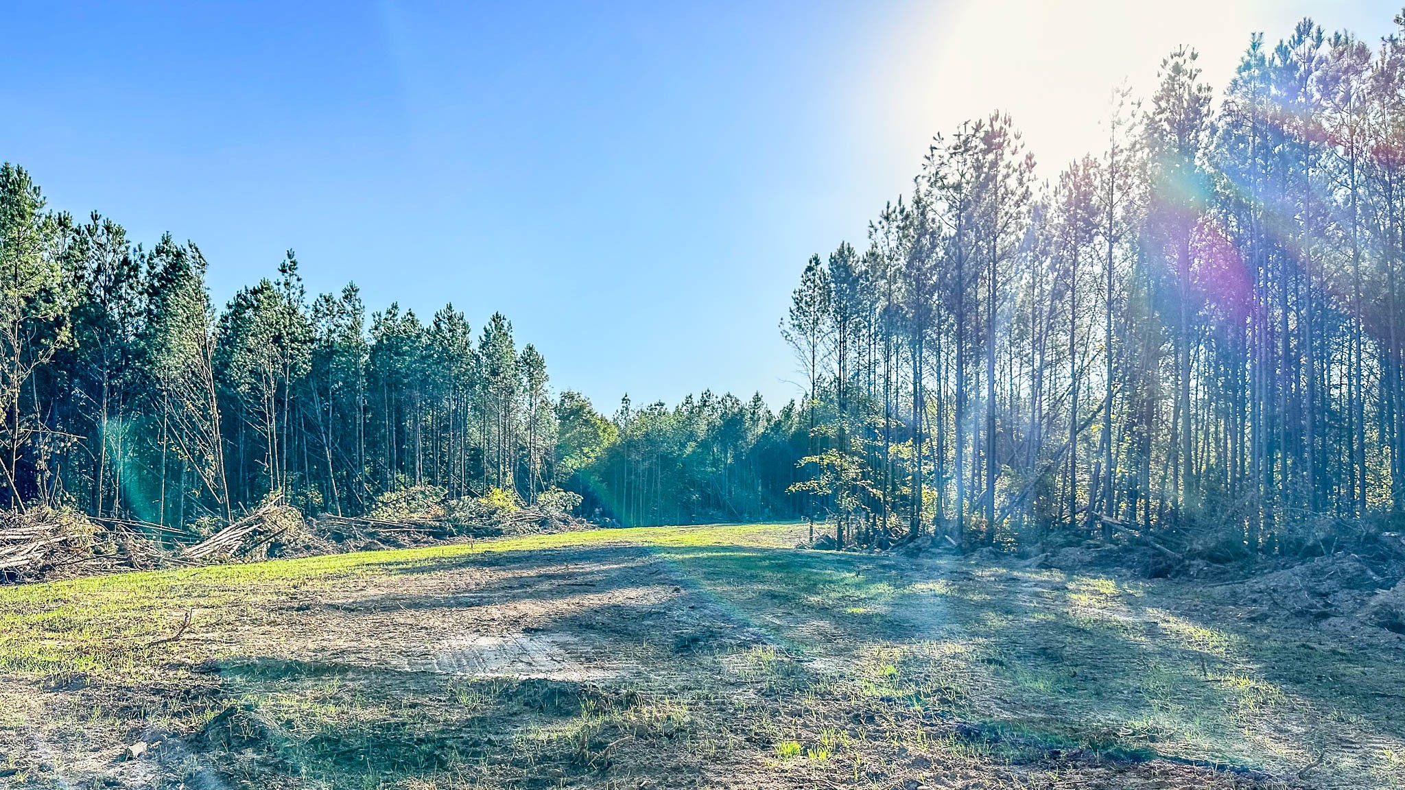 0 Hurricane Creek Road Linden, TN 37096 - Photo 15 of 30