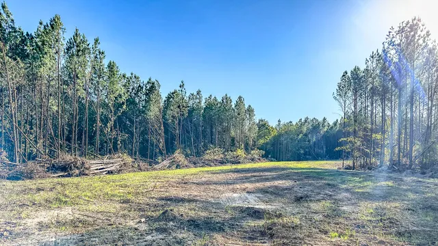 $130,500 | 0 Hurricane Creek Road, Linden, TN 37096