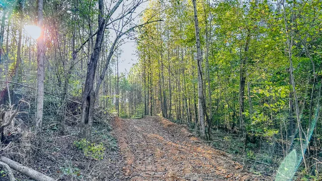 $130,500 | 0 Hurricane Creek Road, Linden, TN 37096
