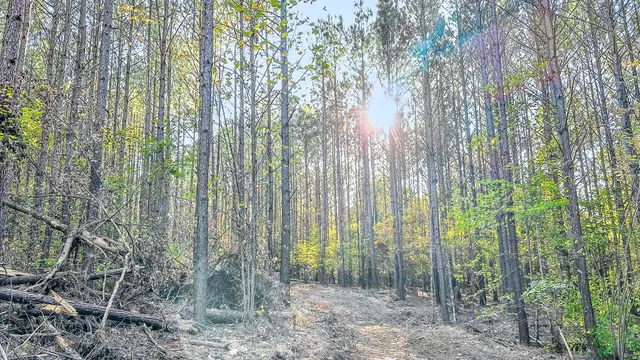 $130,500 | 0 Hurricane Creek Road, Linden, TN 37096