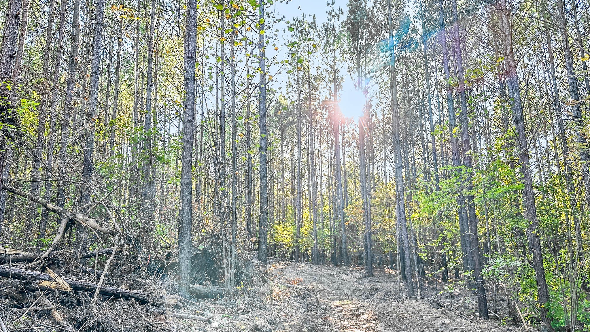 0 Hurricane Creek Road Linden, TN 37096 - Photo 18 of 30