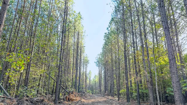 $130,500 | 0 Hurricane Creek Road, Linden, TN 37096