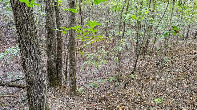 $130,500 | 0 Hurricane Creek Road, Linden, TN 37096