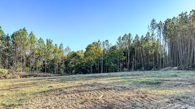 $130,500 | 0 Hurricane Creek Road, Linden, TN 37096