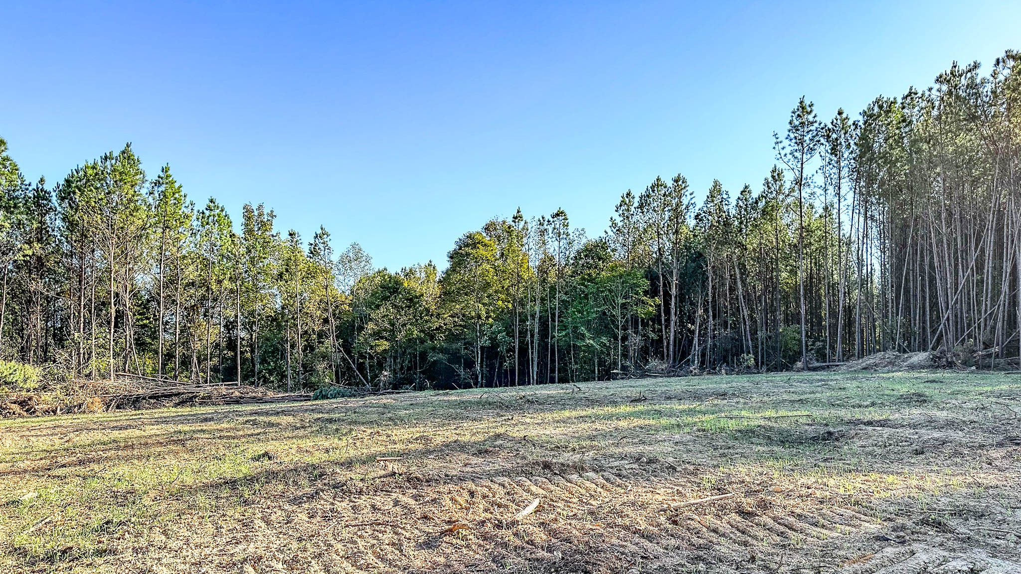 0 Hurricane Creek Road Linden, TN 37096 - Photo 21 of 30