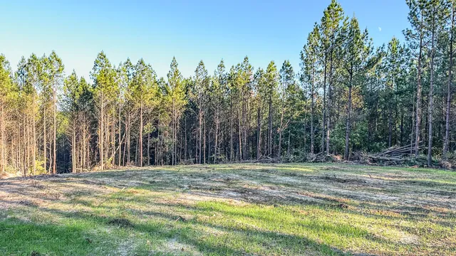 $130,500 | 0 Hurricane Creek Road, Linden, TN 37096