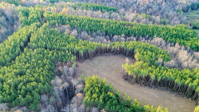 $130,500 | 0 Hurricane Creek Road, Linden, TN 37096