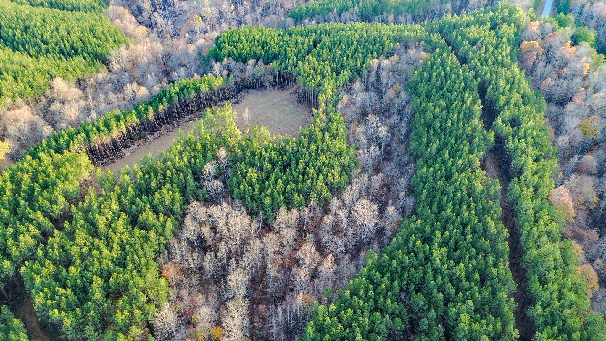 0 Hurricane Creek Road Linden, TN 37096 - Photo 25 of 30