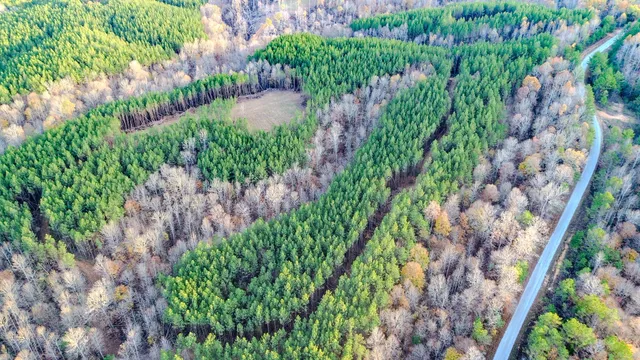 $130,500 | 0 Hurricane Creek Road, Linden, TN 37096