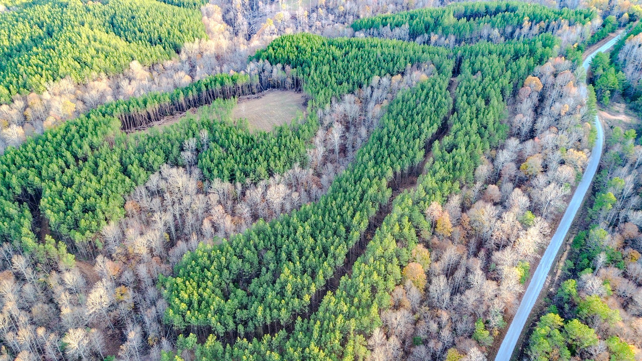 0 Hurricane Creek Road Linden, TN 37096 - Photo 26 of 30