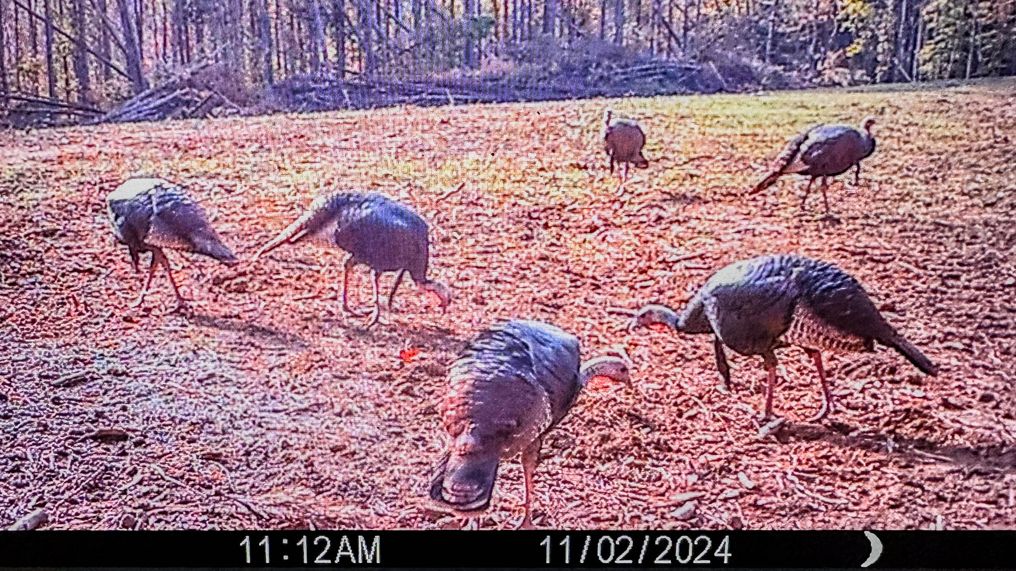 0 Hurricane Creek Road Linden, TN 37096 - Photo 29 of 30