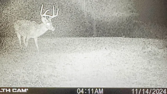 $130,500 | 0 Hurricane Creek Road, Linden, TN 37096