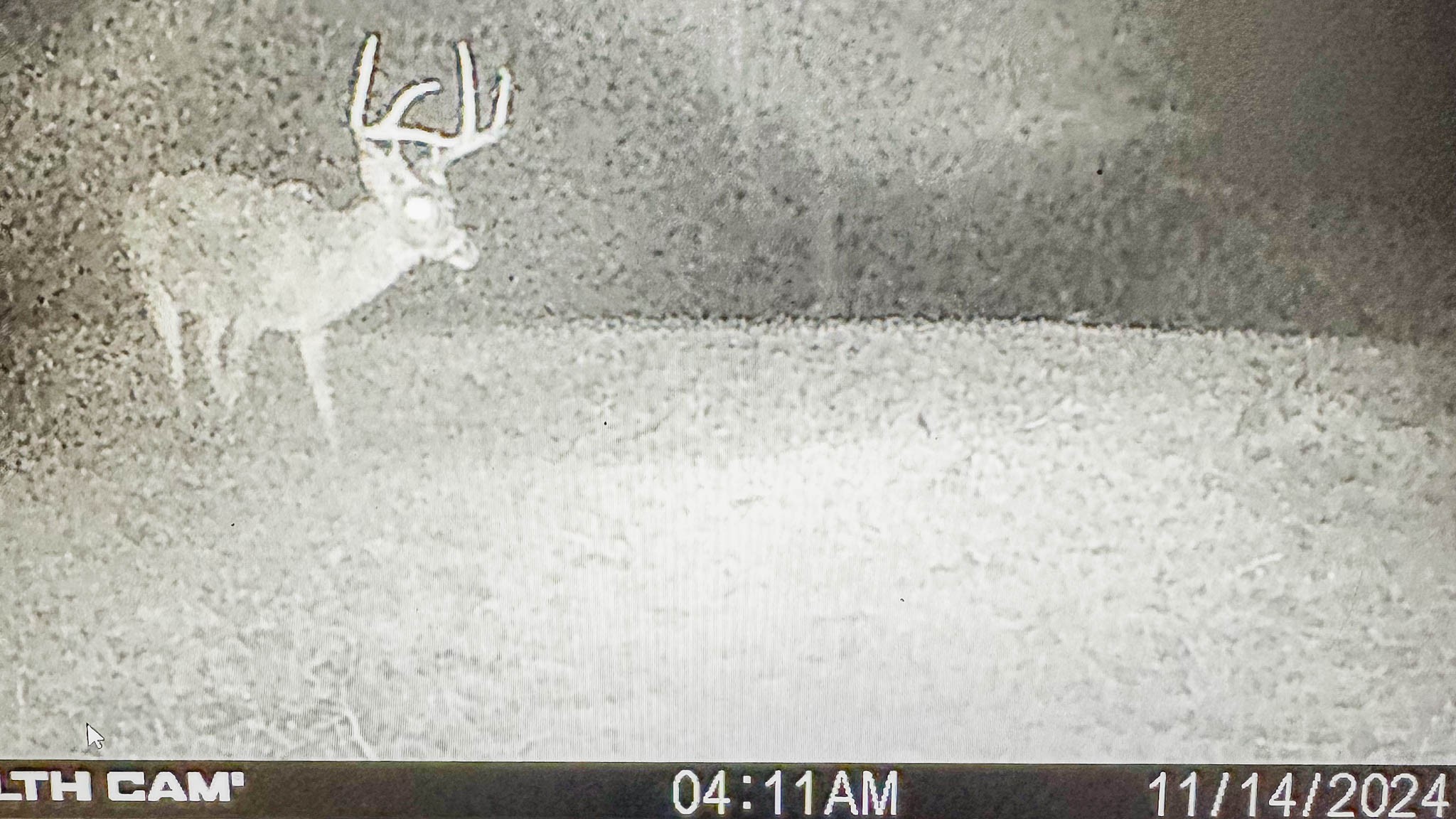 0 Hurricane Creek Road Linden, TN 37096 - Photo 30 of 30