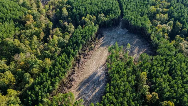 $130,500 | 0 Hurricane Creek Road, Linden, TN 37096