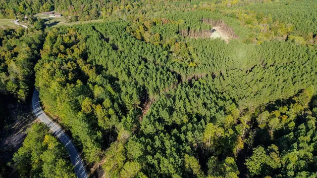 $130,500 | 0 Hurricane Creek Road, Linden, TN 37096
