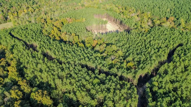 $130,500 | 0 Hurricane Creek Road, Linden, TN 37096