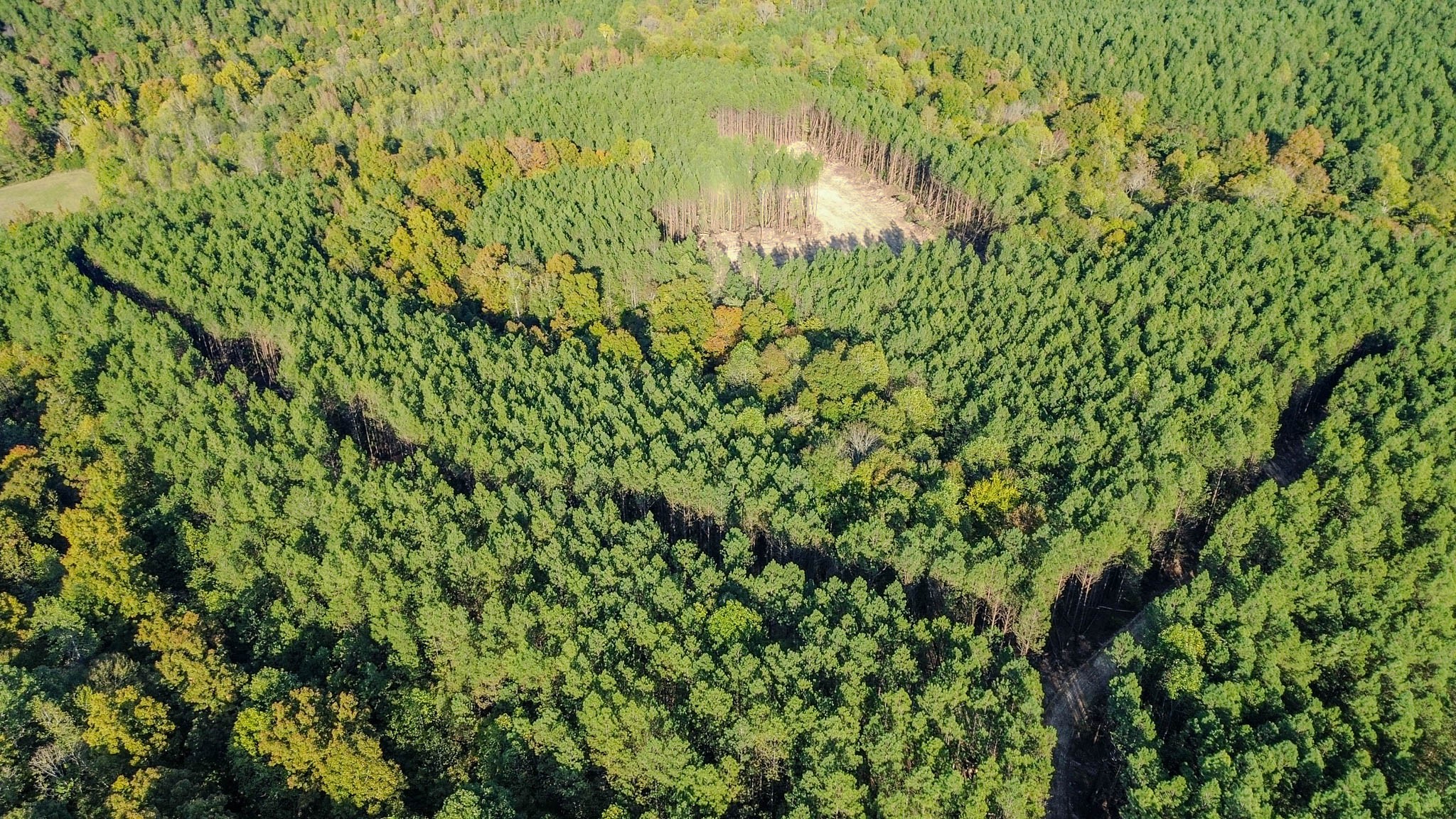 0 Hurricane Creek Road Linden, TN 37096 - Photo 6 of 30