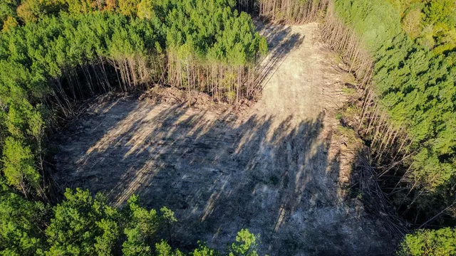 $130,500 | 0 Hurricane Creek Road, Linden, TN 37096