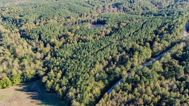 $130,500 | 0 Hurricane Creek Road, Linden, TN 37096