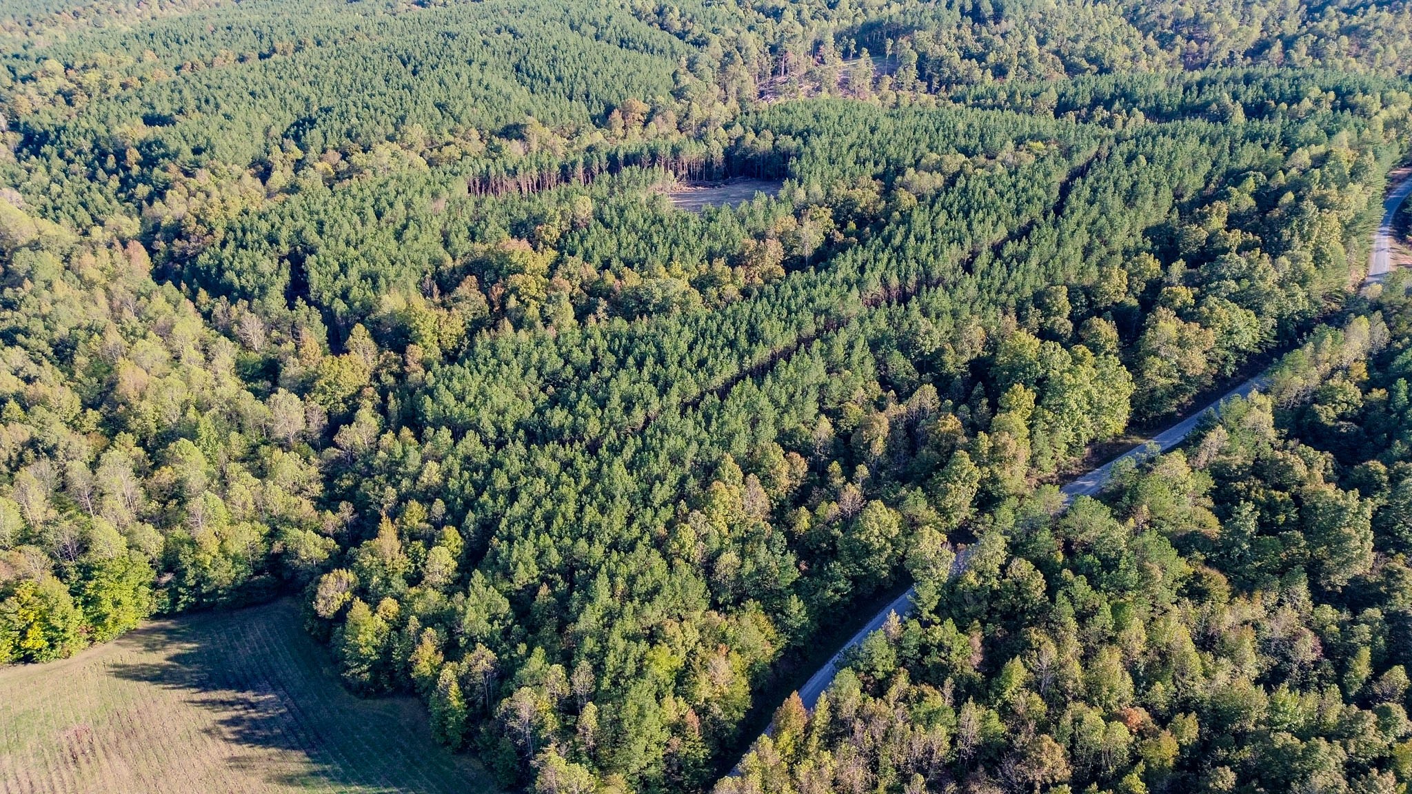 0 Hurricane Creek Road Linden, TN 37096 - Photo 8 of 30