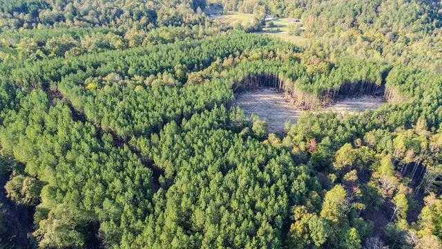 $130,500 | 0 Hurricane Creek Road, Linden, TN 37096