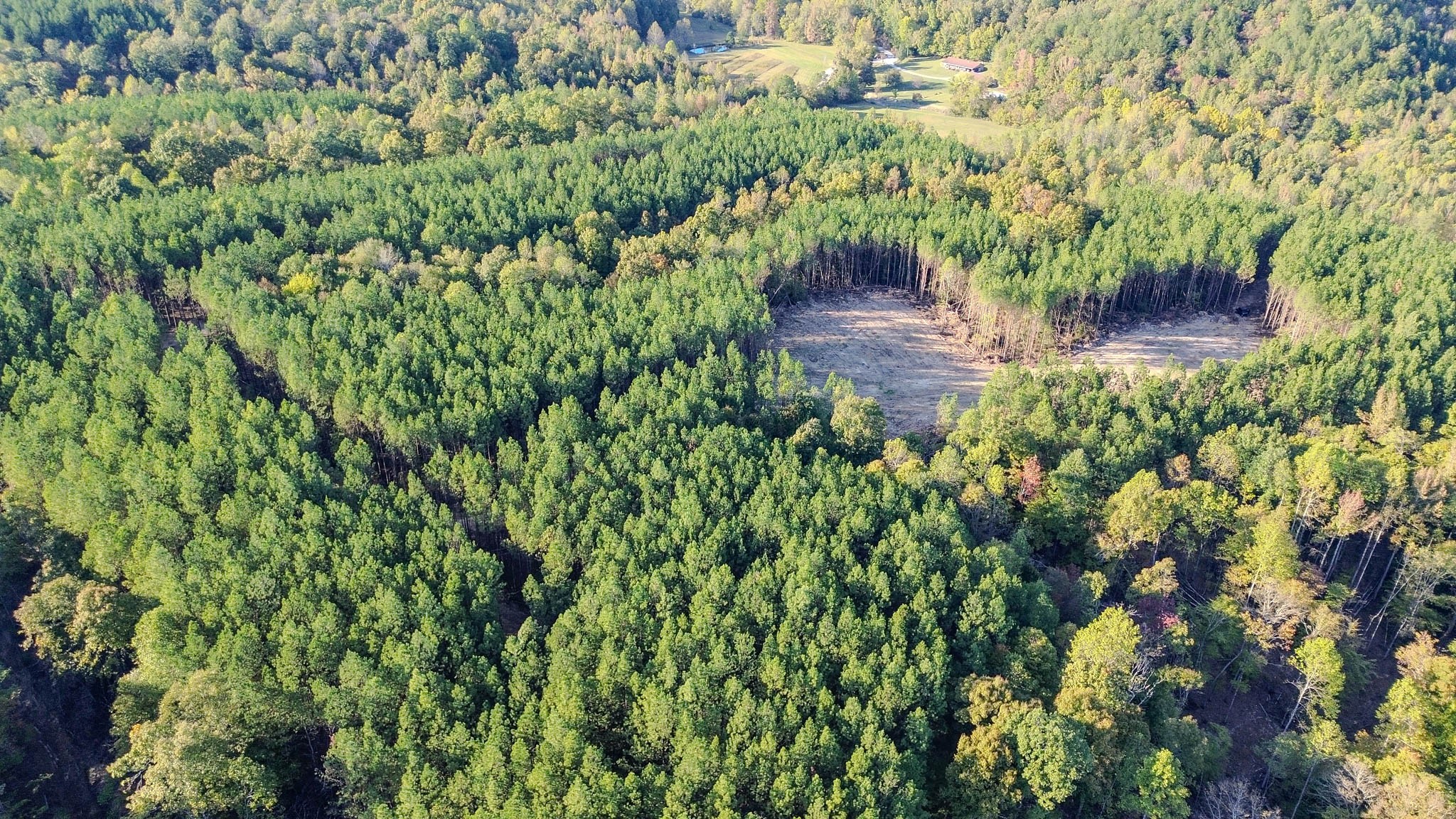 0 Hurricane Creek Road Linden, TN 37096 - Photo 9 of 30