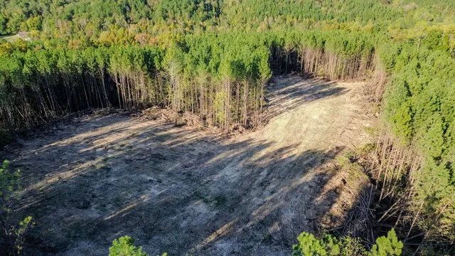 $130,500 | 0 Hurricane Creek Road, Linden, TN 37096