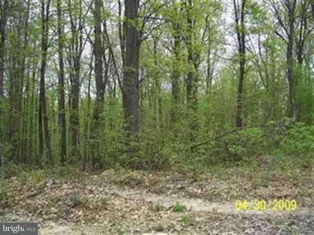 Lot 52 Berryhill Road Harrisburg, PA 17109 - Photo 3 of 5 Gallery Image 3
