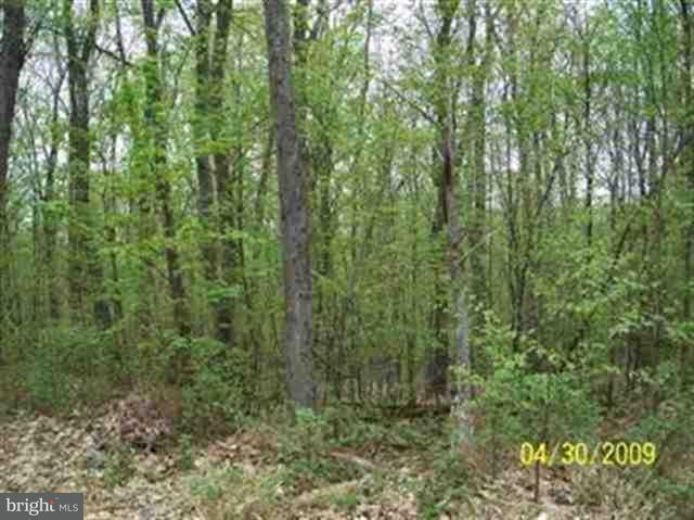 Lot 52 Berryhill Road Harrisburg, PA 17109 - Photo 4 of 5 Gallery Image 4