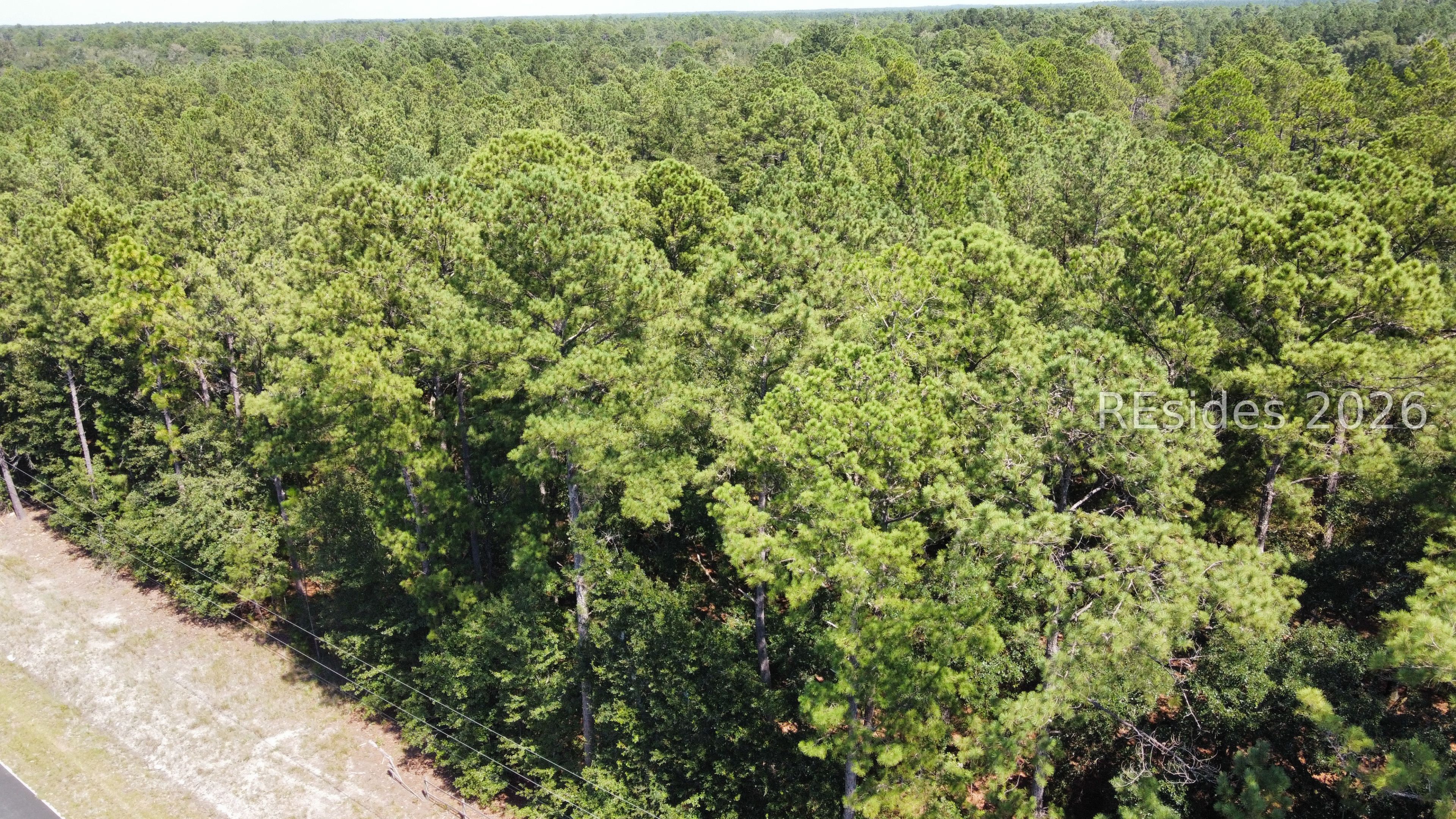 0 Firetower Road Pineland, SC 29934 - Photo 6 of 12 Gallery Image 6