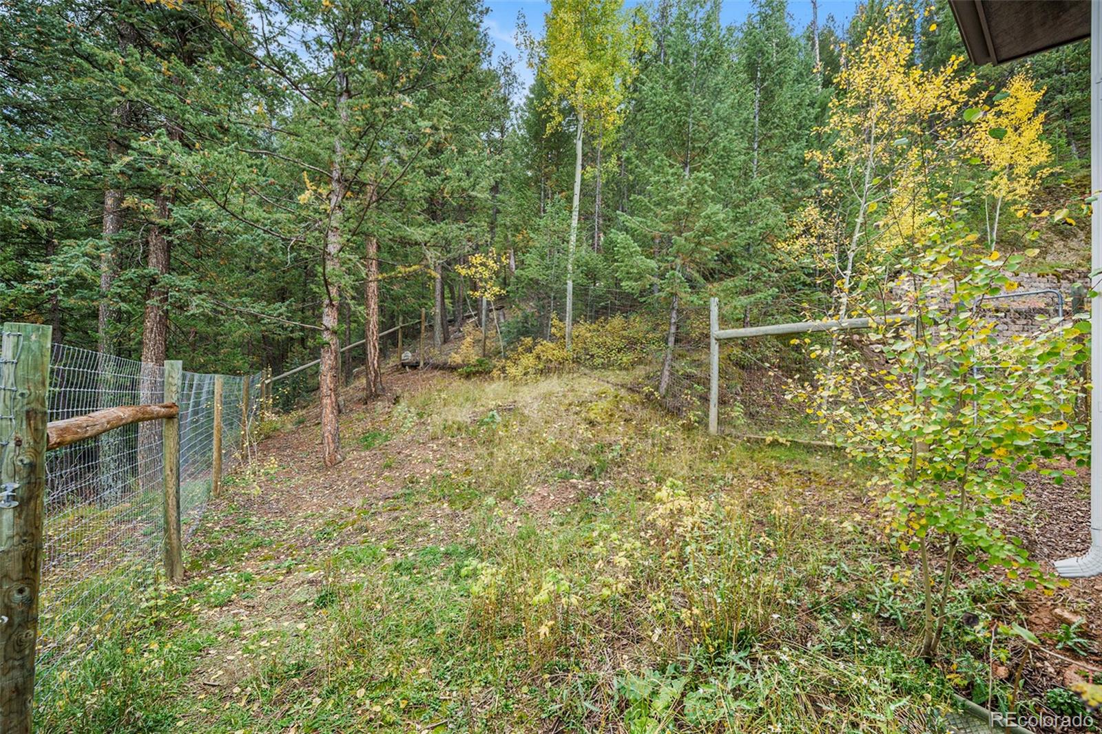 1774 Upper Bear Creek Road Evergreen, CO 80439 - Photo 39 of 43 a view of a forest