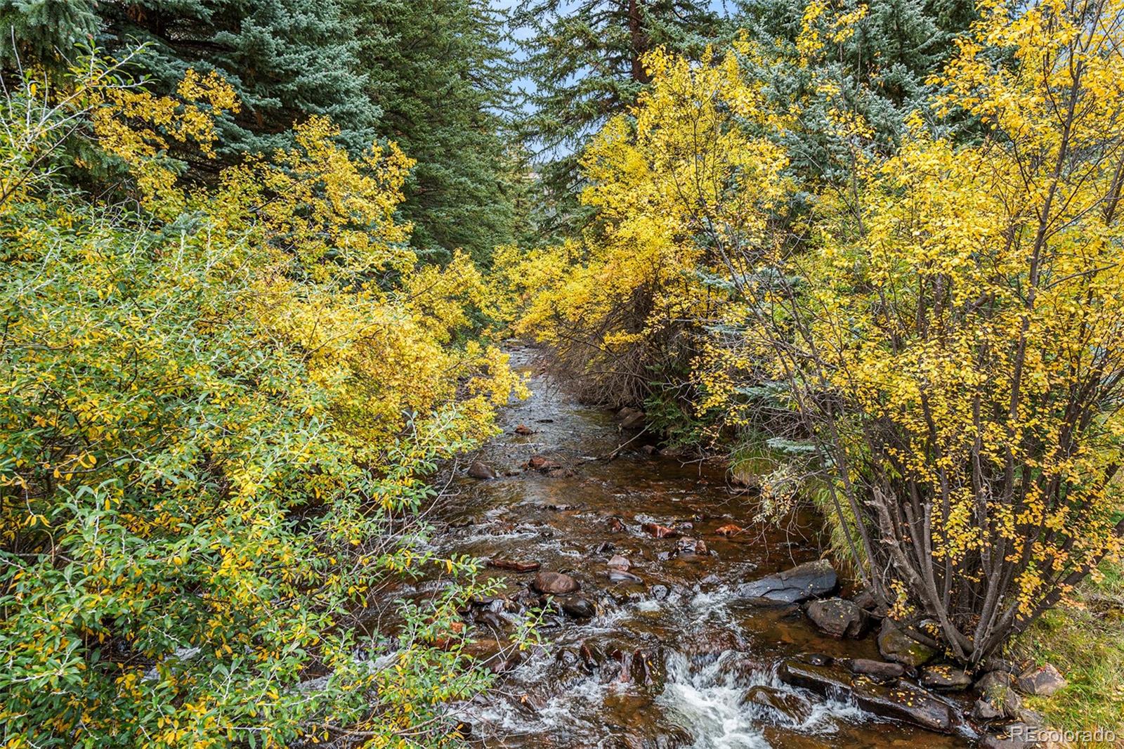1774 Upper Bear Creek Road Evergreen, CO 80439 - Photo 4 of 43 a view of a tree with a yard