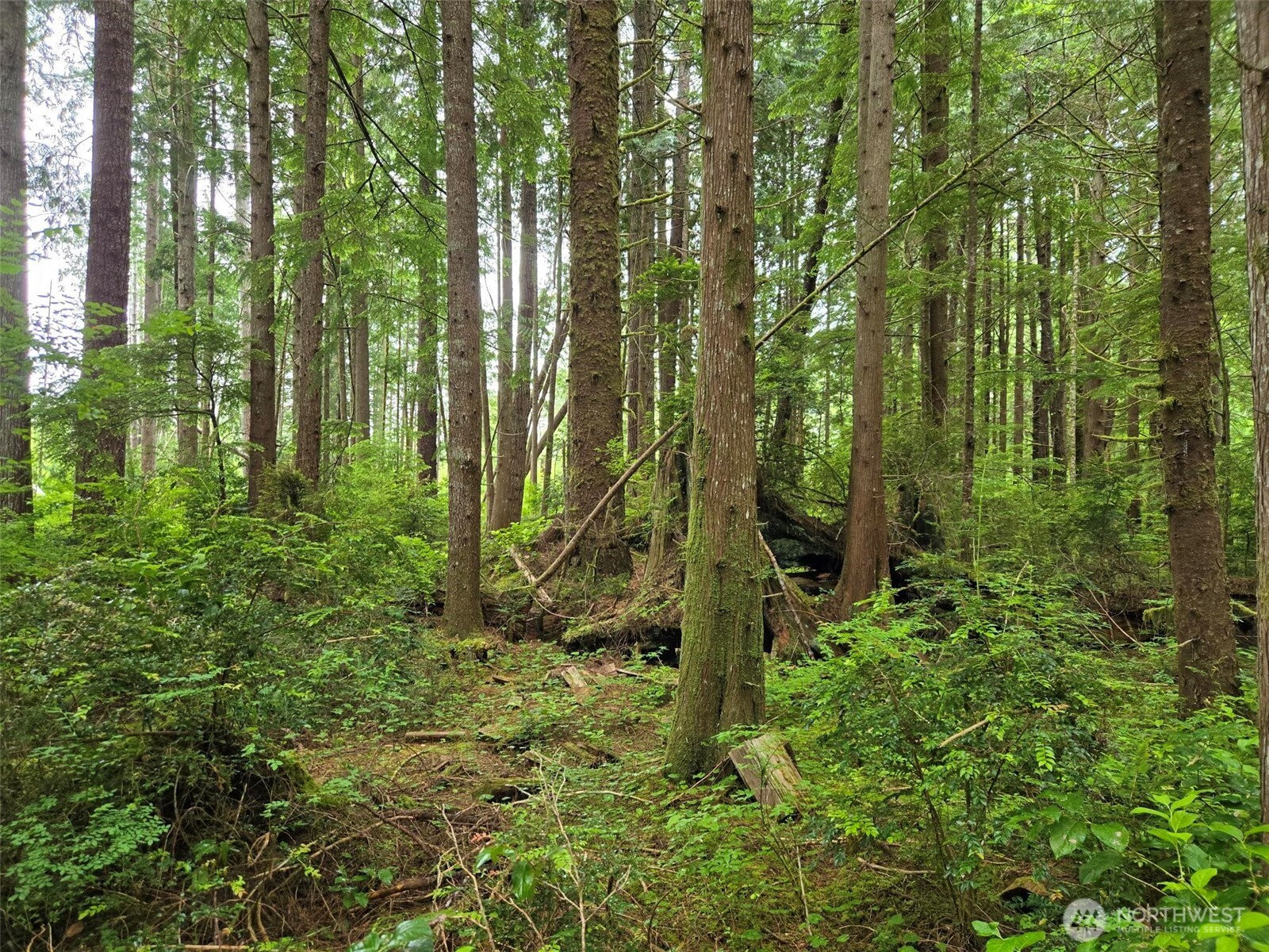 -nka Ocean Beach Road Copalis Crossing, WA 98536 - Photo 3 of 10 Gallery Image 3