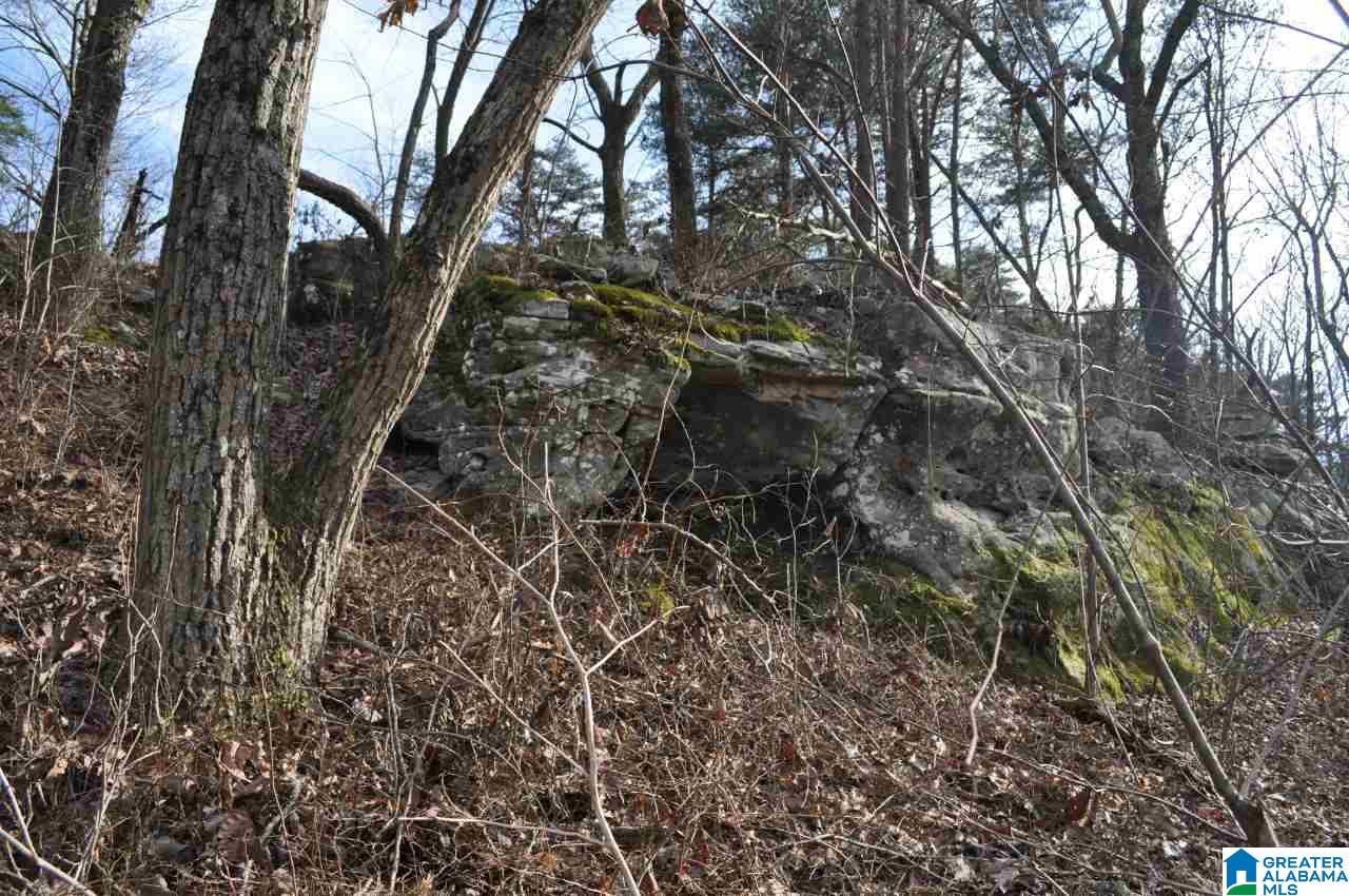 89 North County Road Mentone, AL 35984 - Photo 16 of 18
