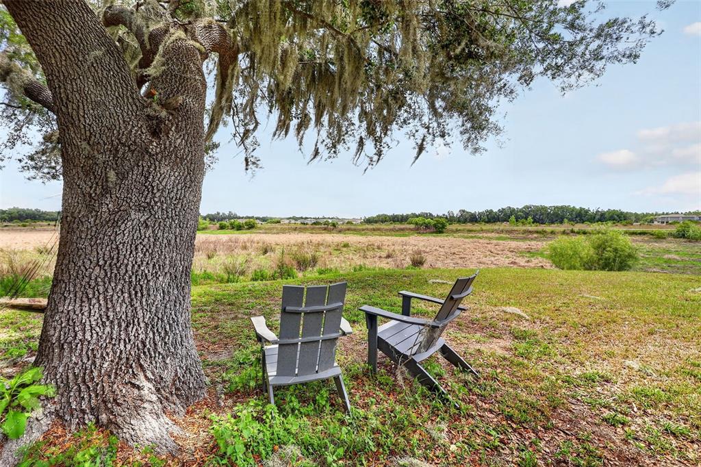 1922 Lanier Road Zephyrhills, FL 33541 - Photo 67 of 80