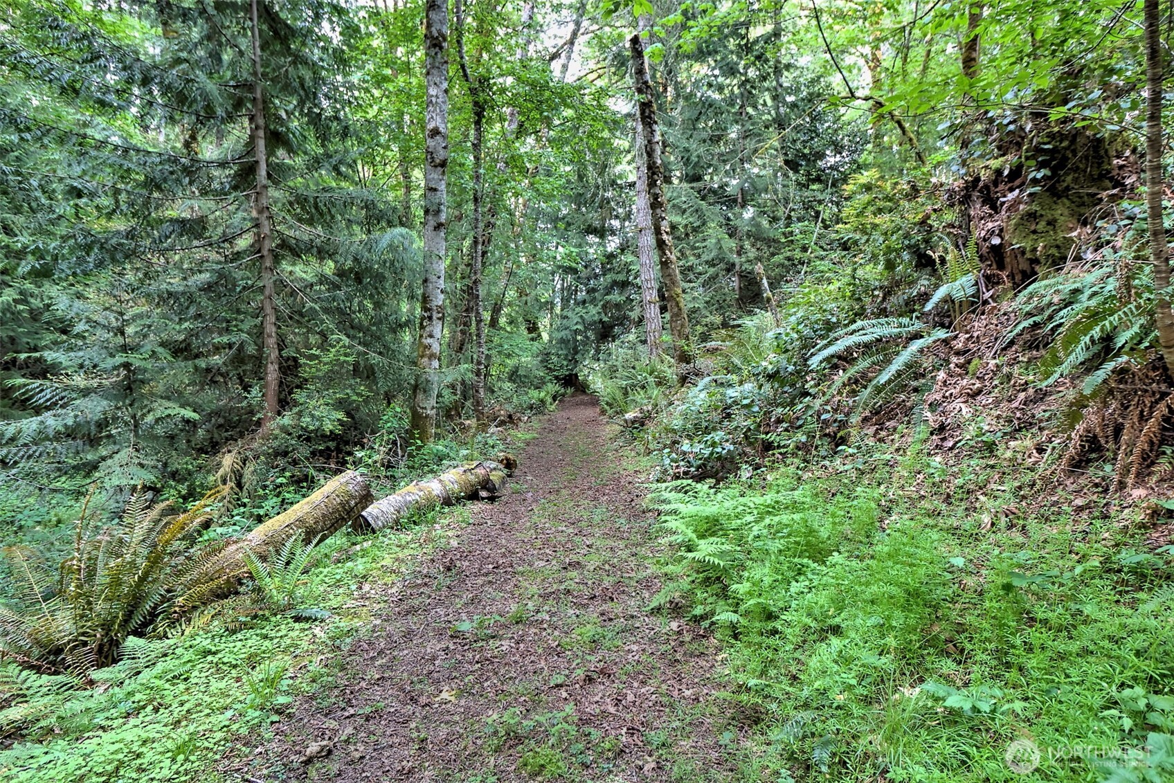 187 East Vineyard Crest Road Grapeview, WA 98546 - Photo 30 of 35